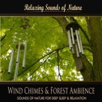 Wind Chimes & Forest Ambience