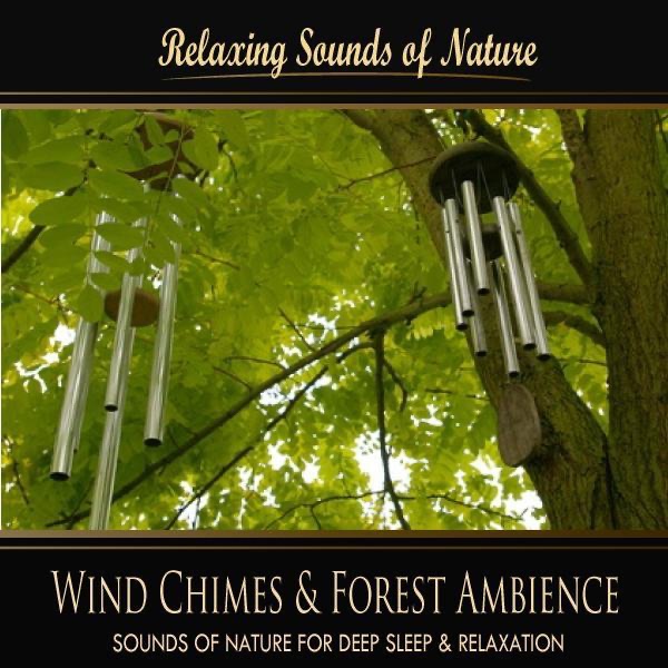 Wind Chimes & Forest Ambience