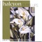 Dai Fujikura Still Sweet - Halcyon lyrics