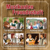 Musikanten Freundschaft