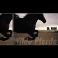 Wilde Pferde