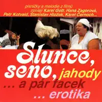 Slunce, seno, jahody — Karel CERNOCH