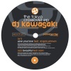 DJ Kawasaki - Bright Like Light (Instrumental)