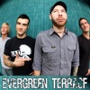 Evergreen Terrace