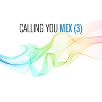 Calling You (Vocal)