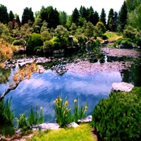 Gone Too Soon - Single - Badras