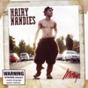 Hairy Nandies, 2008