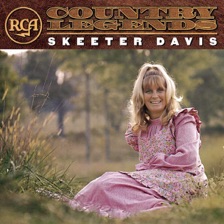 The End of the World by Skeeter Davis — cover art