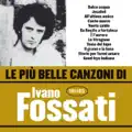 IL GRANO E LA LUNA