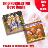 50 Anos de Sucessos No Forró - Trio Nordestino