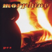 Morphine - The Jury