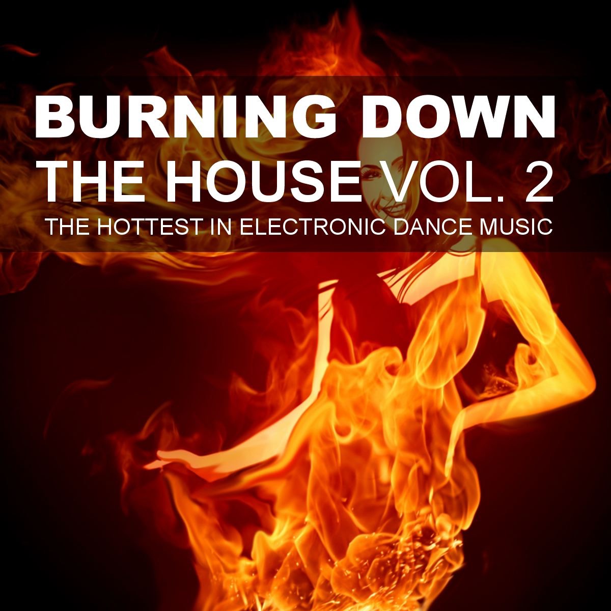 Burning Down the House, Vol. 2 - The Hottest In Electronic Dance Music