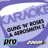 Zoom Karaoke: Guns 'N' Roses & Aerosmith, Vol. 2 - Zoom Karaoke