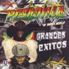 AMOR PIRATA