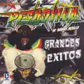 Amor pirata