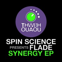 Synergy - Single - Flade & Spin Science