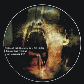 Collapsing Reality Thomas Nordmann