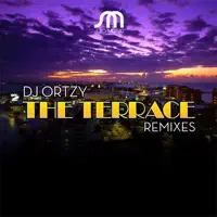 The Terrace (Phunk Investigation Ibiza Technzoid Mix) — DJ Ortzy