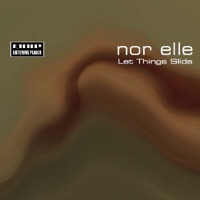 let things slide (terry lee brown junior´s sliding dub)