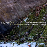 Shake (Drop Out Orchestra Remix)