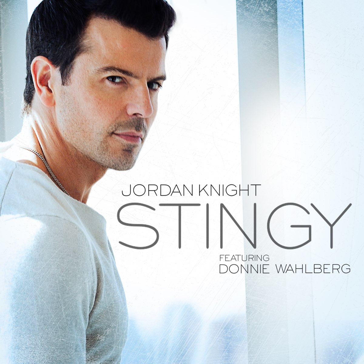 Stingy (feat. Donnie Wahlberg) - Single - Album by Jordan Knight - Apple  Music