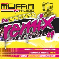 See The Light Gammer Remix