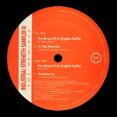 The Blood of an English Muffin (Charlie Lownoise & Mental Theo Rmx) artwork