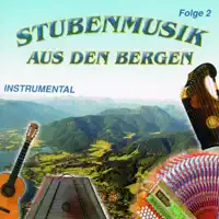 Drah Di Waberl — Aufhamer Saitenmusik
