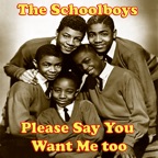 Please Say You Want Me