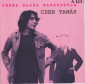 Fehér Babák Tajarodója artwork