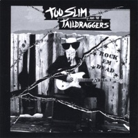 Too Slim & The Taildraggers - Double Trouble