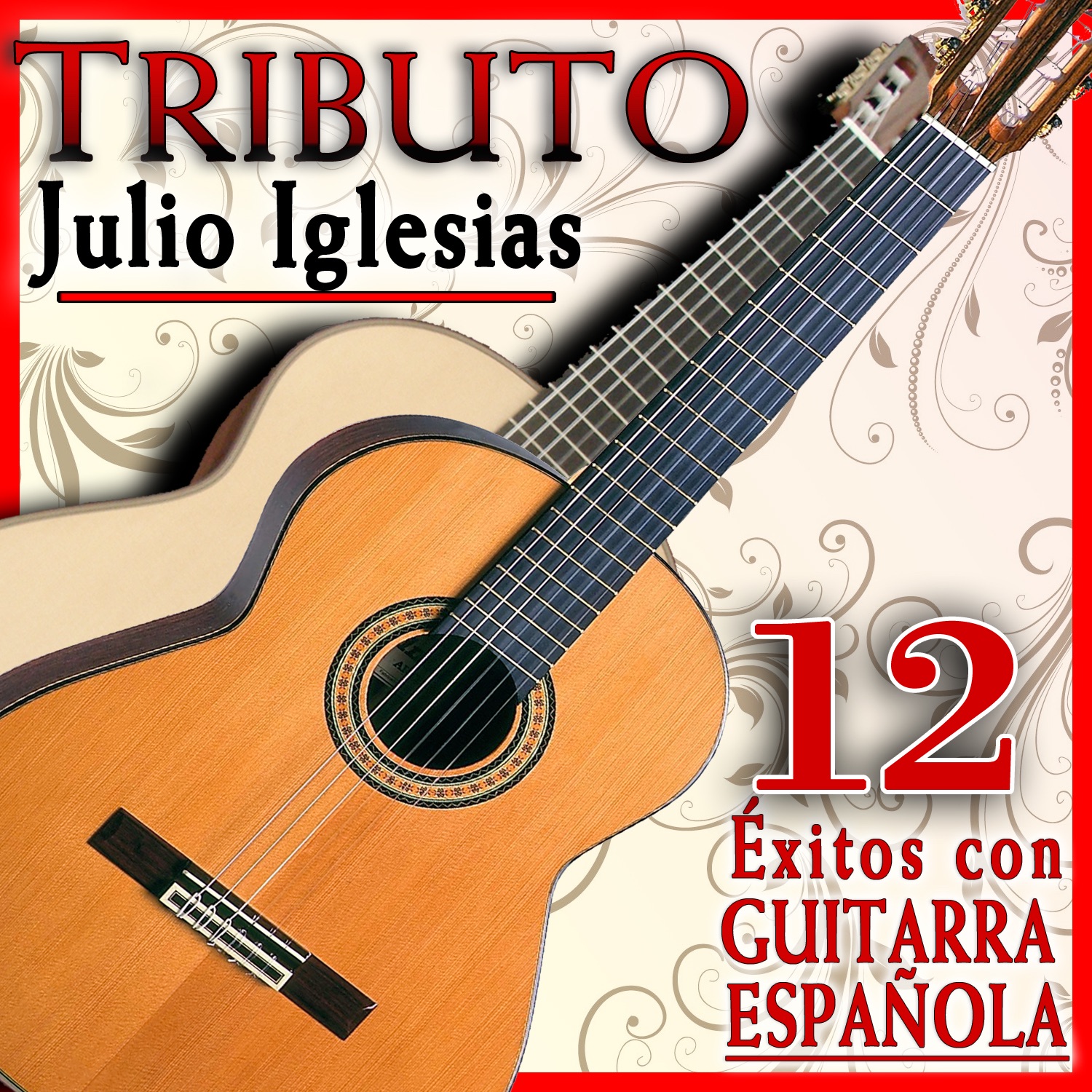 Tributo a Julio Iglesias, 12 Éxitos Con Guitarra Española