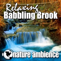 Relaxing Babbling Brook (Nature Sounds) - Single - Nature Ambience