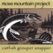 Tino - Moss Mountain Project lyrics