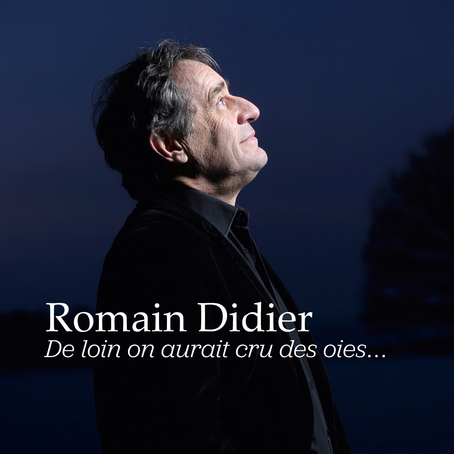 De loin on aurait cru des oies. . .