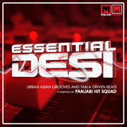 Hai Hai (feat. Ms Scandalous) - Panjabi Hit Squad