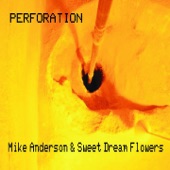 Mike Anderson & Sweet Dream Flowers - We Want a War