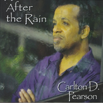 Reflections: After the Rain