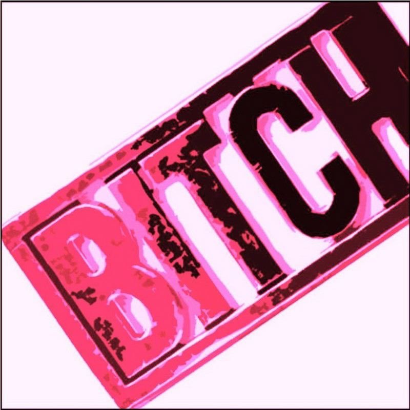 Обложка альбома «That Purse Is a Bitch» — Paul Wicked & Kerry Leva