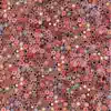 The Pinker Tones - Sonido Total