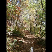 Beware - Single - Brett Schieber