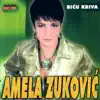 Amela Zukovic - Amela