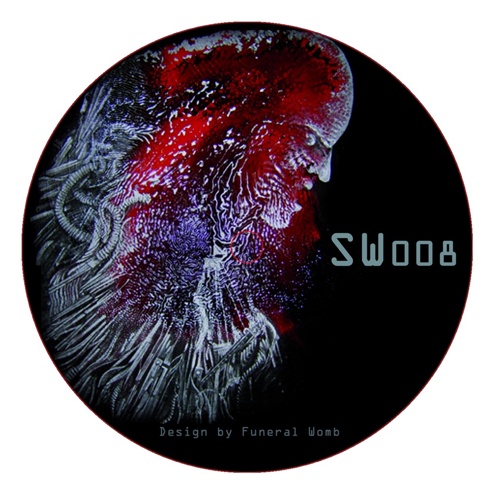 Обложка альбома «Striking Wave 008 - EP» — Joshua