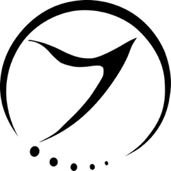 Sensient - I.D.E
