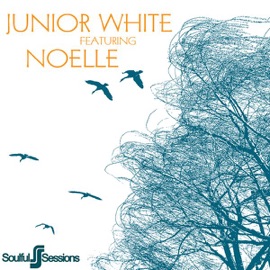 Away With Me (Junior Vocal Mix) Junior White