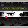 Spilling Tears (Italo Dance Mix)