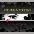 Spilling Tears (Italo Dance Mix)