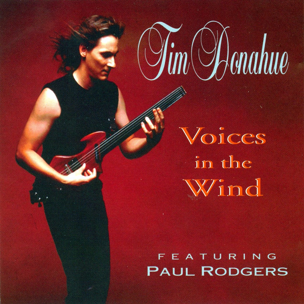 Обложка альбома «Voices In the Wind» — Tim Donahue