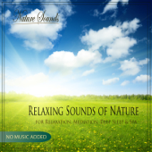 Relaxing Sounds of Nature for Relaxation, Mediation, Deep Sleep & Spa