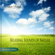 Thunderstorm - Nature Sounds